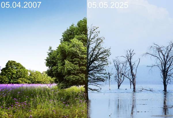 Adding Datestamps to Photos for Environmental Monitoring