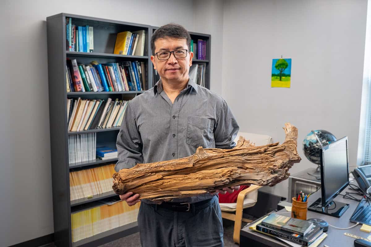 Bury it, don’t burn it: turning biomass waste into a carbon solution